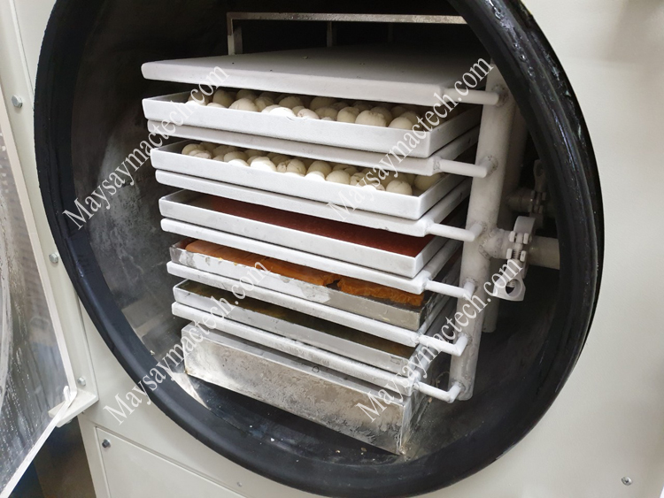 giai đoạn đông lạnh sản phẩm trên máy sấy thăng hoa