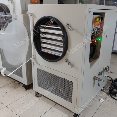 MST50 Freeze drying machine, suitable for drying 5kg raw material