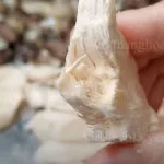 thịt gà sấy xốp giòn, khô giữ nguyên hình dạng, màu sắc, tìm hiểu cách sấy thịt gà hiệu quả