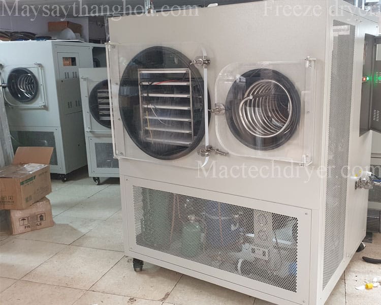 mst100 freeze dryer of Mactech