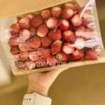 hoa quả sấy khô giòn, máy sấy hoa quả khô giòn