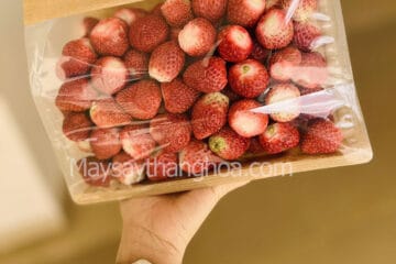 Máy sấy hoa quả khô, xốp, giòn, chỉ phù hợp cho hoa quả đắt tiền