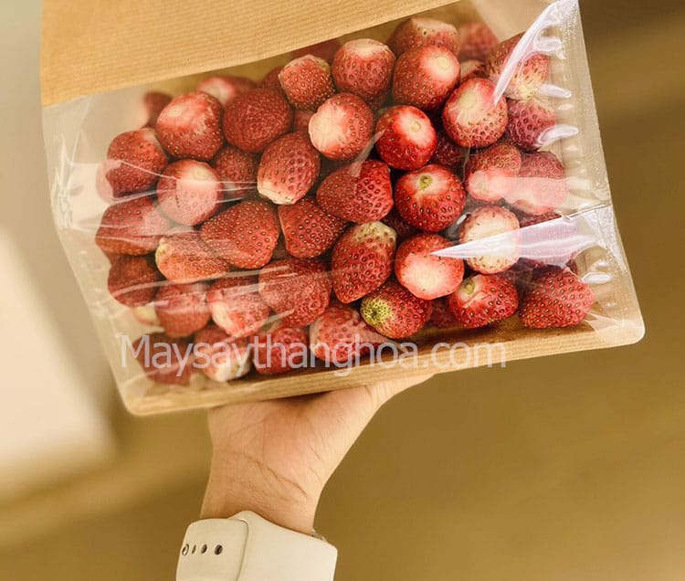hoa quả sấy khô giòn, máy sấy hoa quả khô giòn