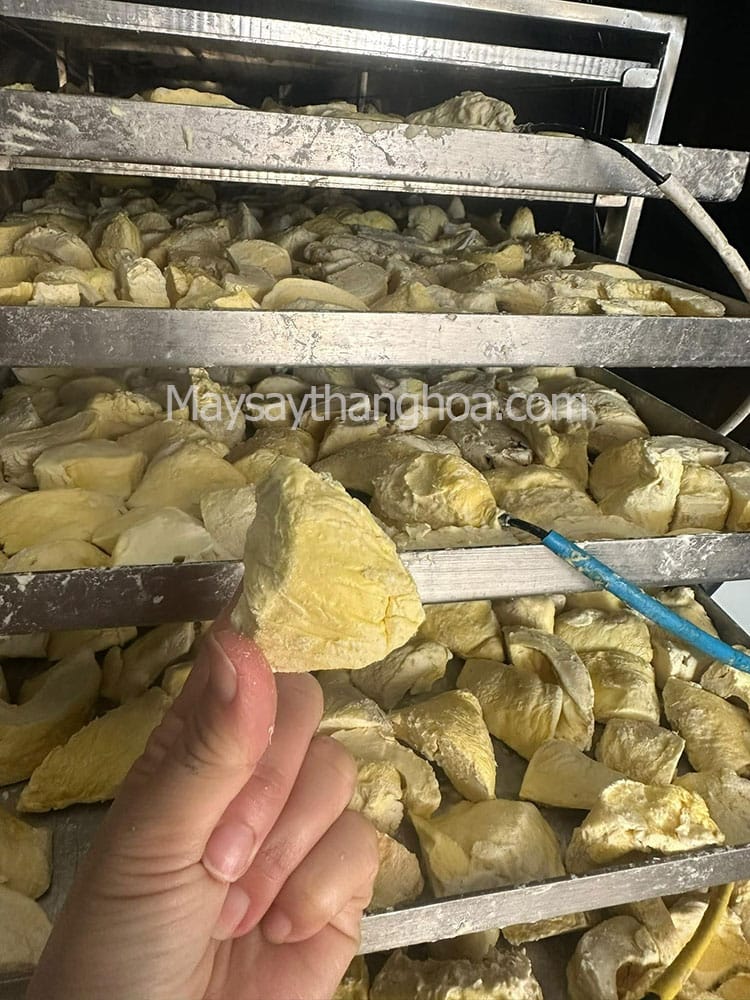 hoa quả sấy khô giòn, máy sấy hoa quả khô giòn