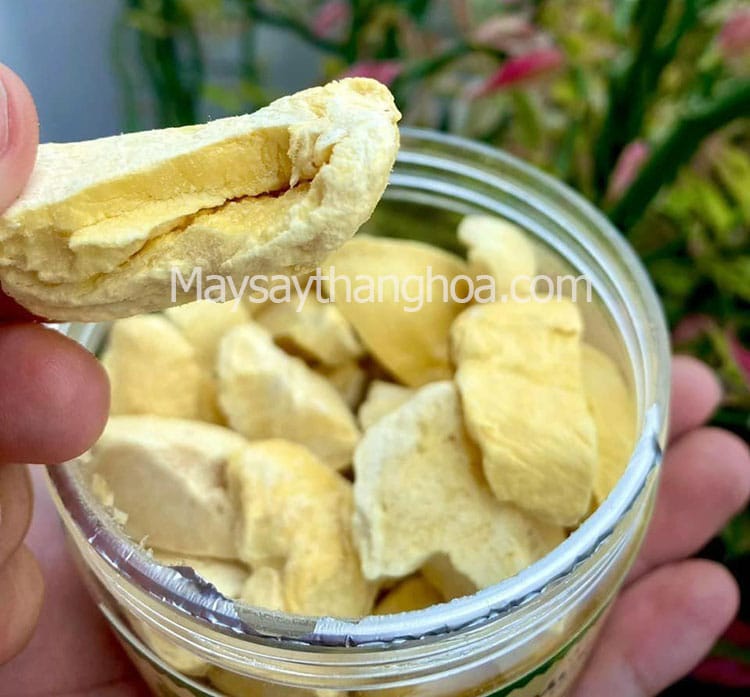 hoa quả sấy khô giòn, máy sấy hoa quả khô giòn
