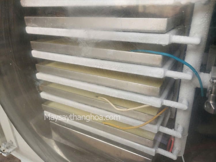 máy sấy dung dịch bột mịn như men vi sinh, bột tảo xoắn, sấy huyết động vật