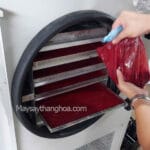 máy sấy dung dịch bột mịn như men vi sinh, bột tảo xoắn, sấy huyết động vật