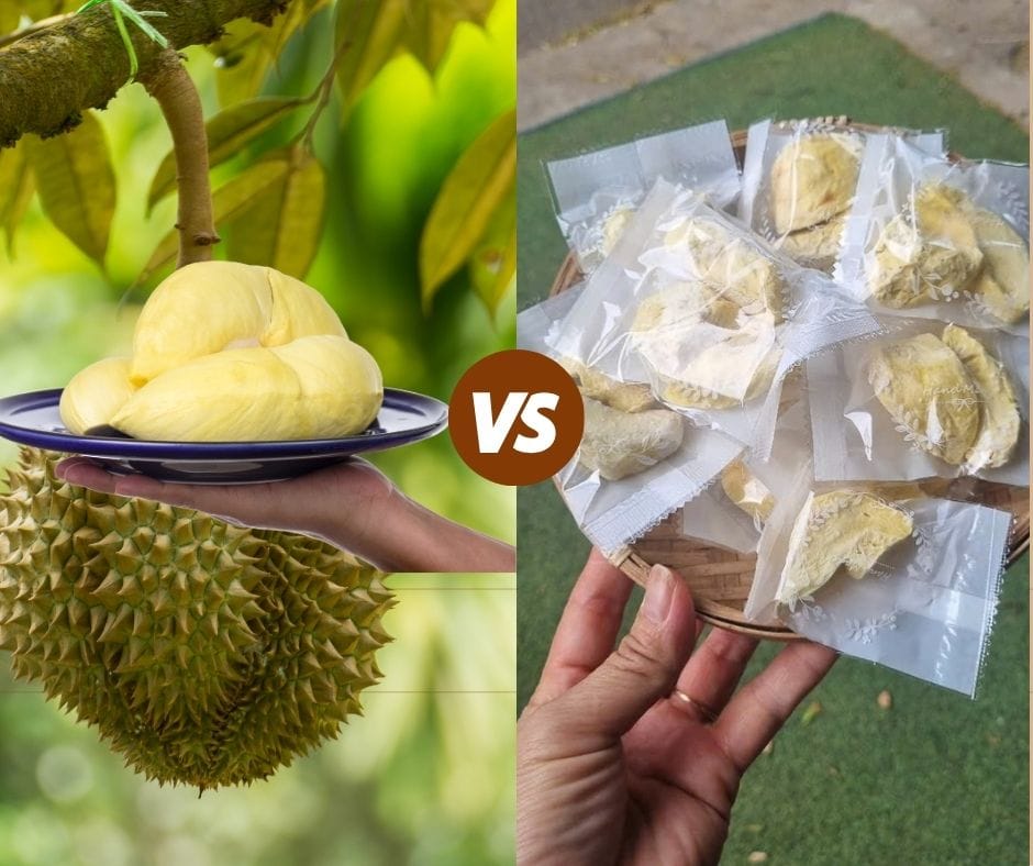 sầu riêng sấy khô giòn, đặc sản sấy thăng hoa