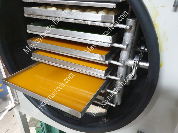 máy sấy thăng hoa với nhiệt độ đông lạnh tới -60 độ c