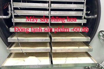Máy sấy thăng hoa lạnh -60 độ, đông lạnh sản phẩm âm 60 độ
