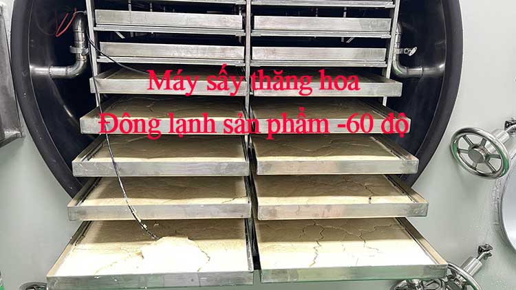 máy sấy thăng hoa với nhiệt độ đông lạnh tới -60 độ c