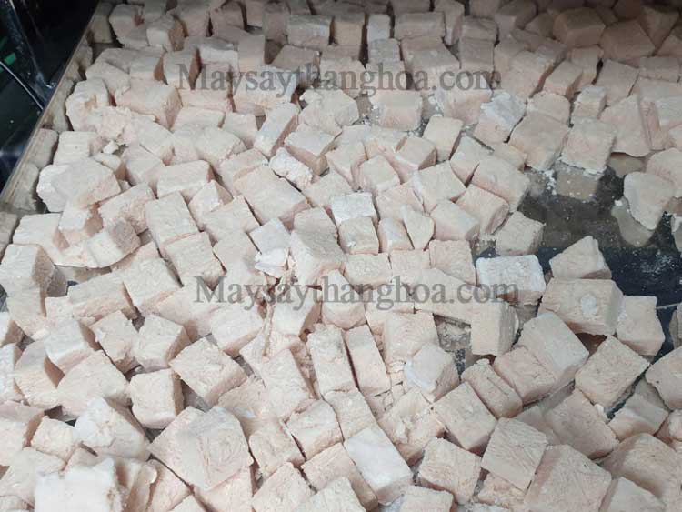 Máy sấy viên thịt ức gà – Giải pháp sản xuất thức ăn cao cấp cho chó mèo bằng công nghệ sấy thăng hoa