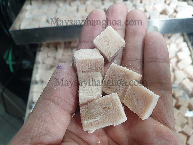 Máy sấy viên thịt ức gà – Giải pháp sản xuất thức ăn cao cấp cho chó mèo bằng công nghệ sấy thăng hoa