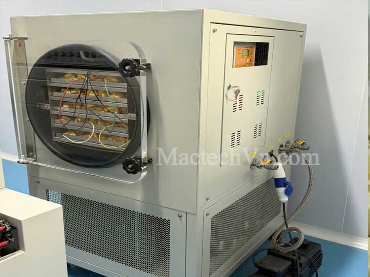 khởi nghiệp quy mô nhỏ với máy sấy hoa quả khô giòn, sấy 3kg 5kg 10kg