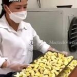 khởi nghiệp quy mô nhỏ với máy sấy hoa quả khô giòn, sấy 3kg 5kg 10kg