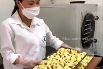 Khởi nghiệp quy mô nhỏ với hoa quả sấy thăng hoa liệu có ổn ?