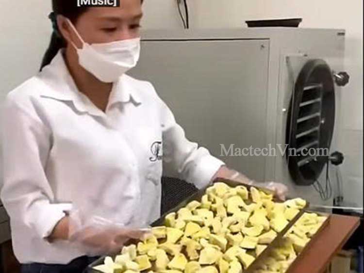 khởi nghiệp quy mô nhỏ với máy sấy hoa quả khô giòn, sấy 3kg 5kg 10kg