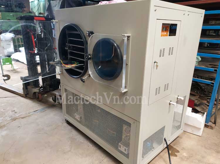 máy sấy thăng hoa 10kg sấy hoa quả khô giòn, sấy men vi sinh, sấy trà ướp sen..