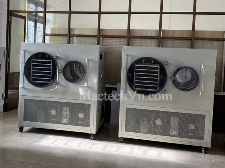 máy sấy thăng hoa 150kg sấy hoa quả khô giòn