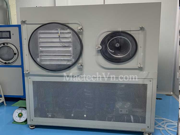 máy sấy thăng hoa 30kg sấy hoa quả khô giòn, sấy trà ướp sen..